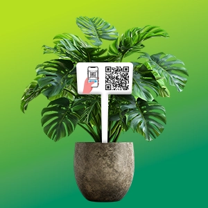 User Profile