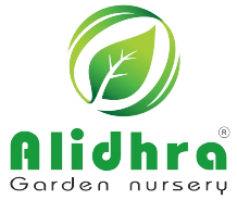 Anand Nursery