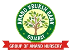 Alindhra Nursery